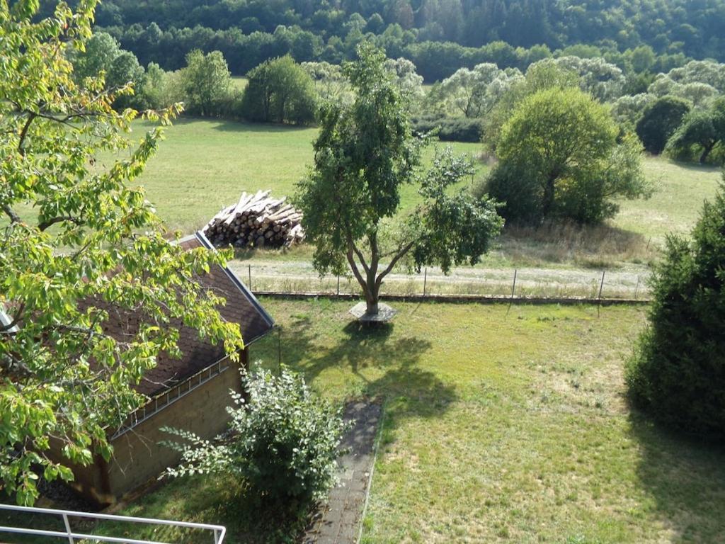 Apartament Ederauenblick Dodenau Zewnętrze zdjęcie