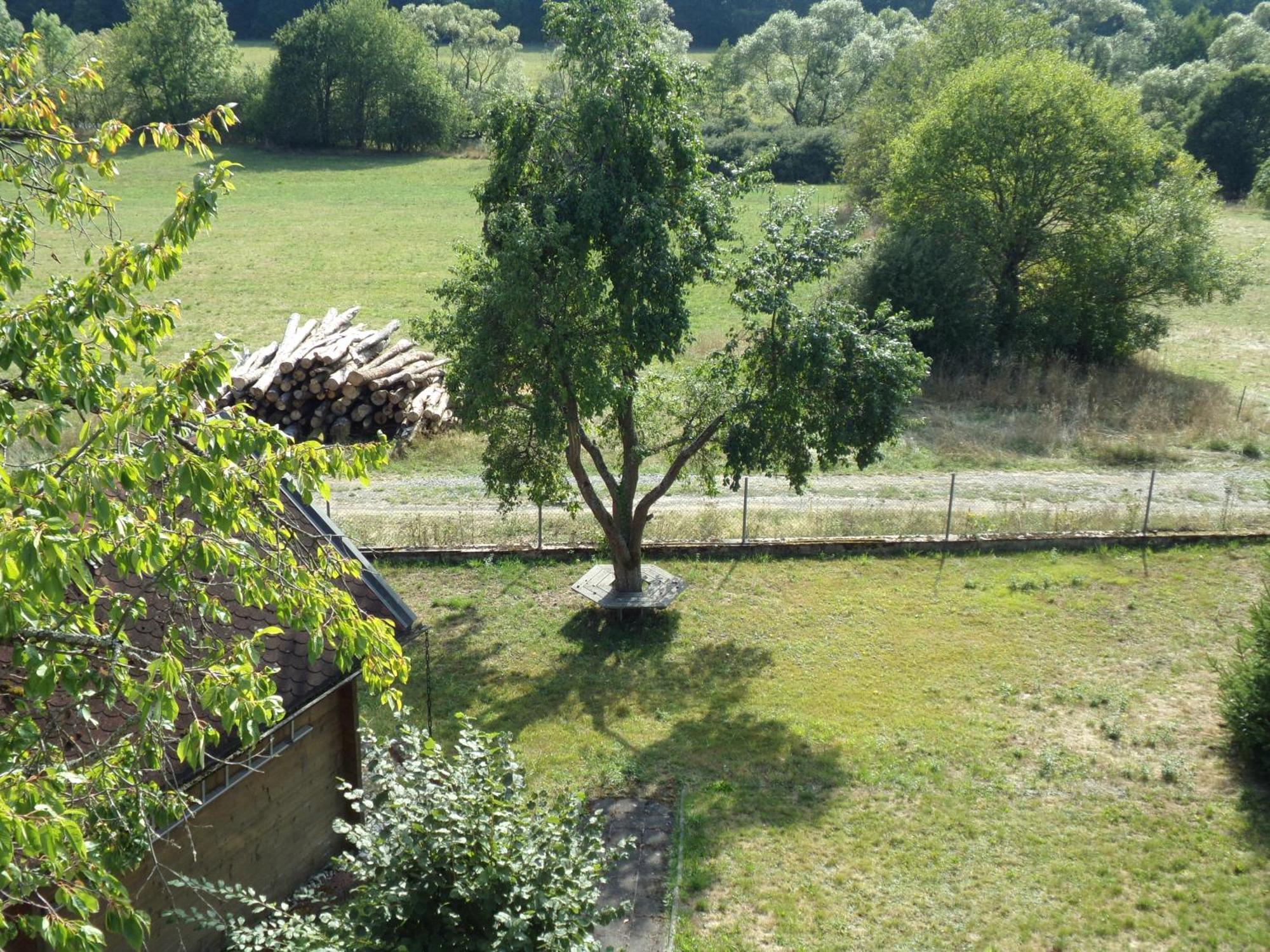 Apartament Ederauenblick Dodenau Zewnętrze zdjęcie